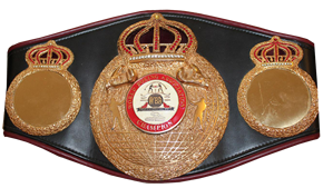Boxing Champions Belt