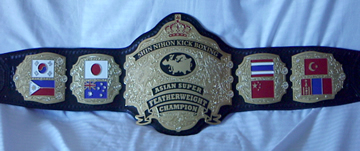 kickboxing champion belt