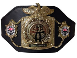 karate champion belt