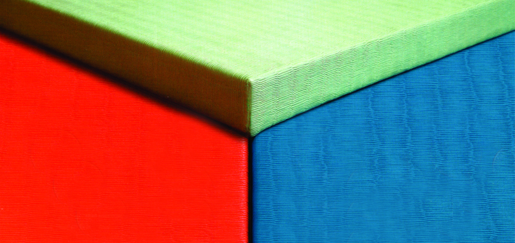 Agasi Judo Tatami Mat