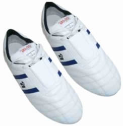 Taekwondo Shoes